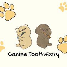 Canine ToothFairy