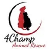 4Champ Animal Rescue