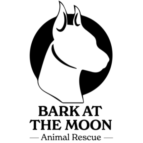 Bark at the Moon K9